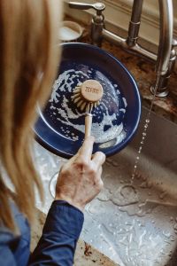 Dish Brush